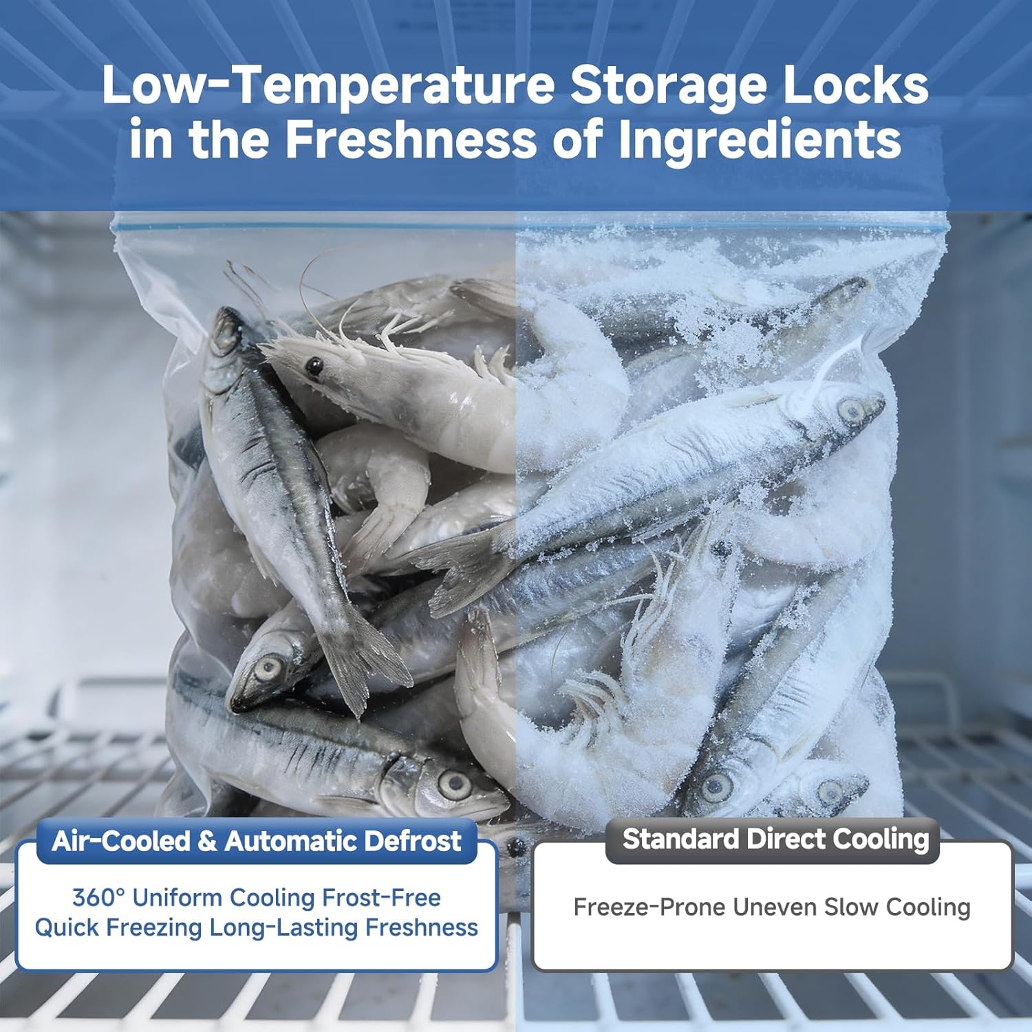 Performance testing results BODEGA commercial freezer review