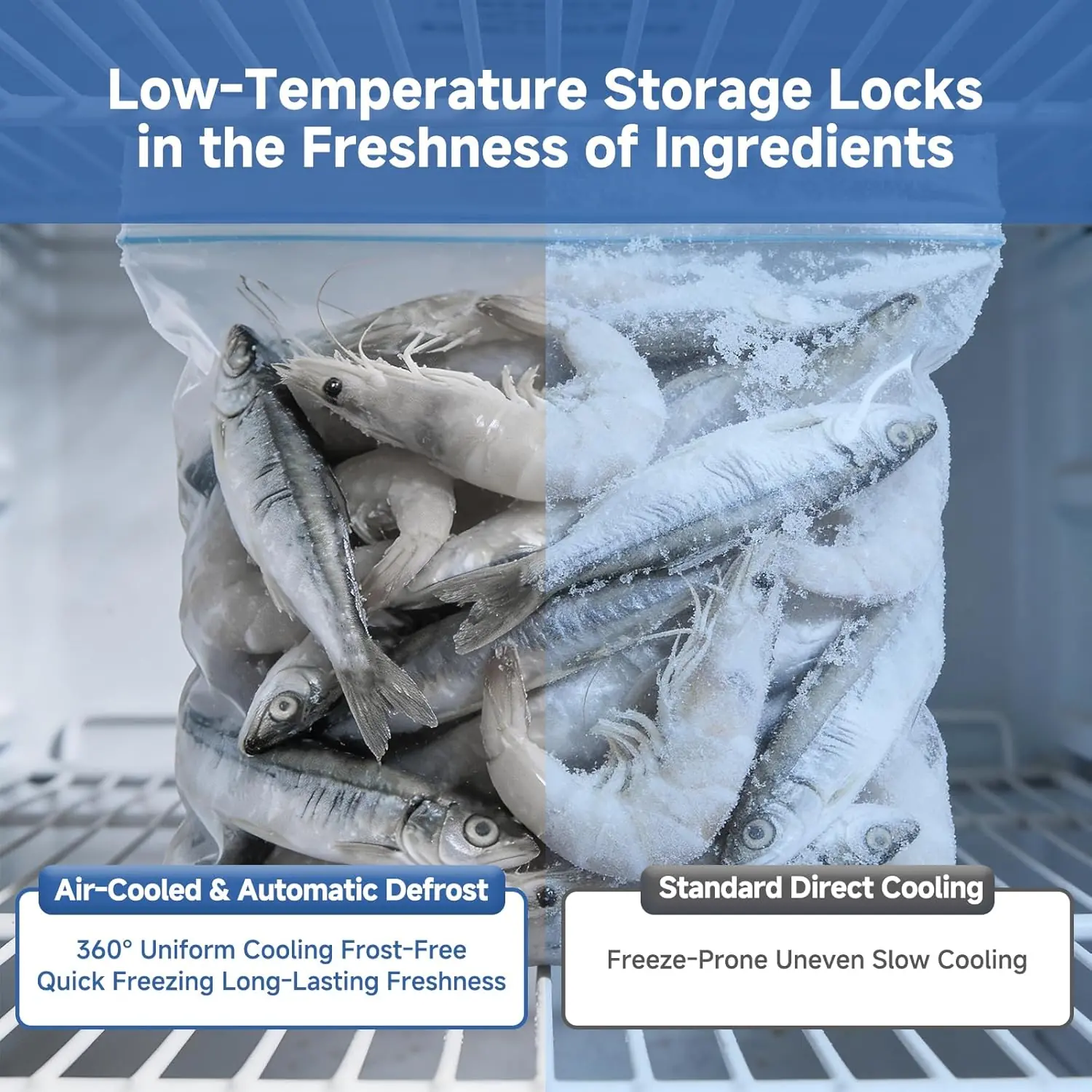 BODEGA commercial freezer review: Unbiased pros & cons verdict 4 Performance testing results BODEGA commercial freezer review