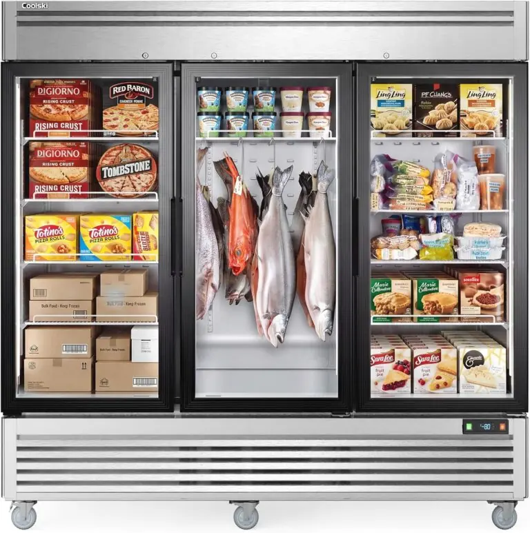 Image 1 of Coolski commercial freezer review